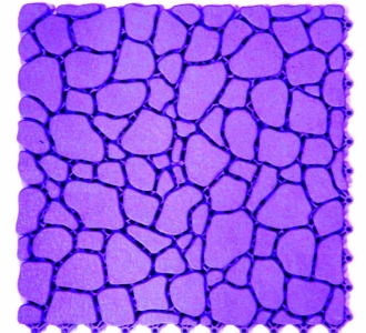 Прочное дренажное покрытие AQUA STONE для влажных зон 6