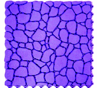 Прочное дренажное покрытие AQUA STONE для влажных зон 7