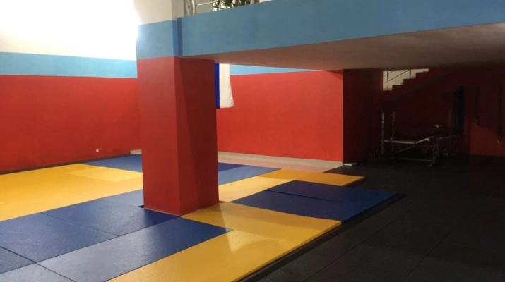 Реальные фото Пороги для БронеПласт, ф.0