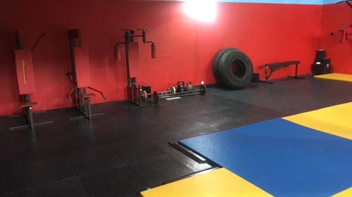 Реальные фото Пороги для БронеПласт, ф.1