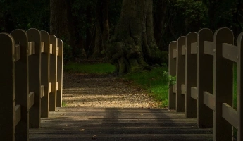 Доставка и оплата продукции из ДПК от WoodPlast