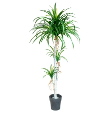 Искусственная драцена 170 см в Минске