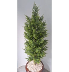 Искусственная туя кипарис 180 см в Минске