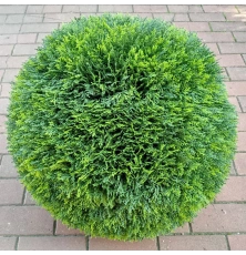 Искусственная туя шар 55 см