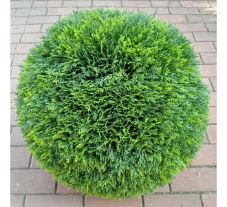 Искусственная туя шар 55 см