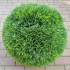 Искусственная туя шар 55 см