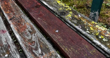 Скамьи ДО, ф.0